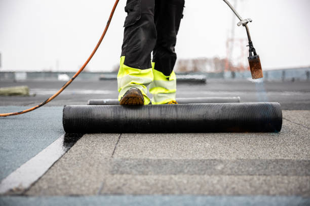 Best Chimney Flashing Repair  in Plattsmouth, NE