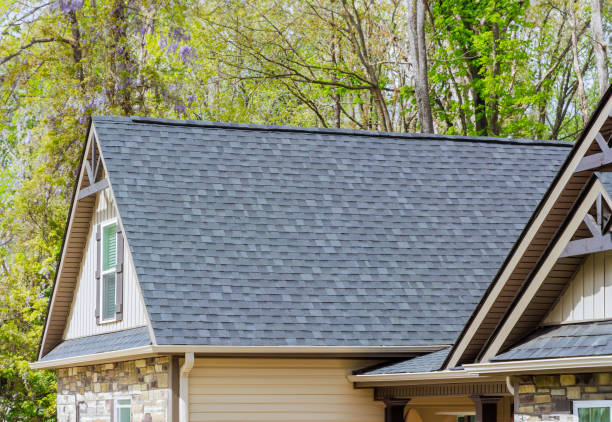 Best Commercial Roofing Services  in Plattsmouth, NE
